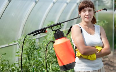 Transform Your Lawn with Iron Fertilizer For Grass and Achieve Vibrant Green Results