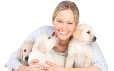 Treat your pup to monthly surprises with a Dog Subscription Box packed with USA made goodies
