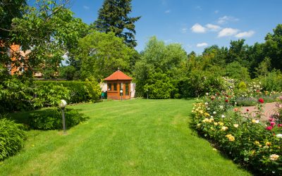 Create Lasting Beauty with a Professional Landscape Contractor in Menifee, CA