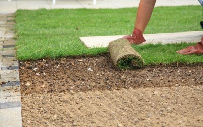 Achieve Low-Maintenance Yards Using Synthetic Grass Installations in Naples, FL: Experts Recommend