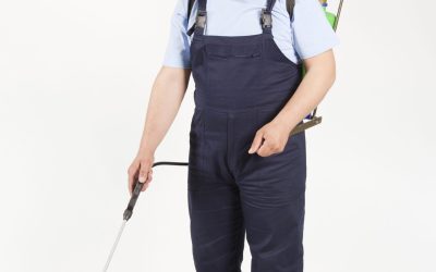 Achieve a WeedFree Lawn This Season with ThreeWay Herbicides for Homeowners