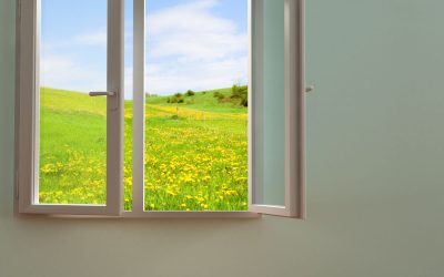 Upgrade Your View by Choosing Durable Windows in North Little Rock, AR Homes